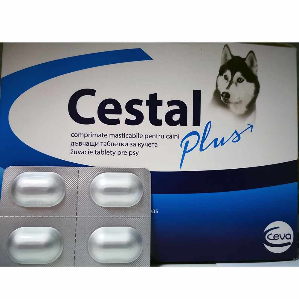Cestal Plus Dog Flavour blister 4 tablete