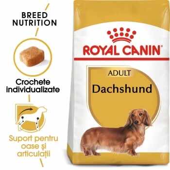 Royal Canin Dachshund Adult, hrană uscată câini Teckel, 1.5kg