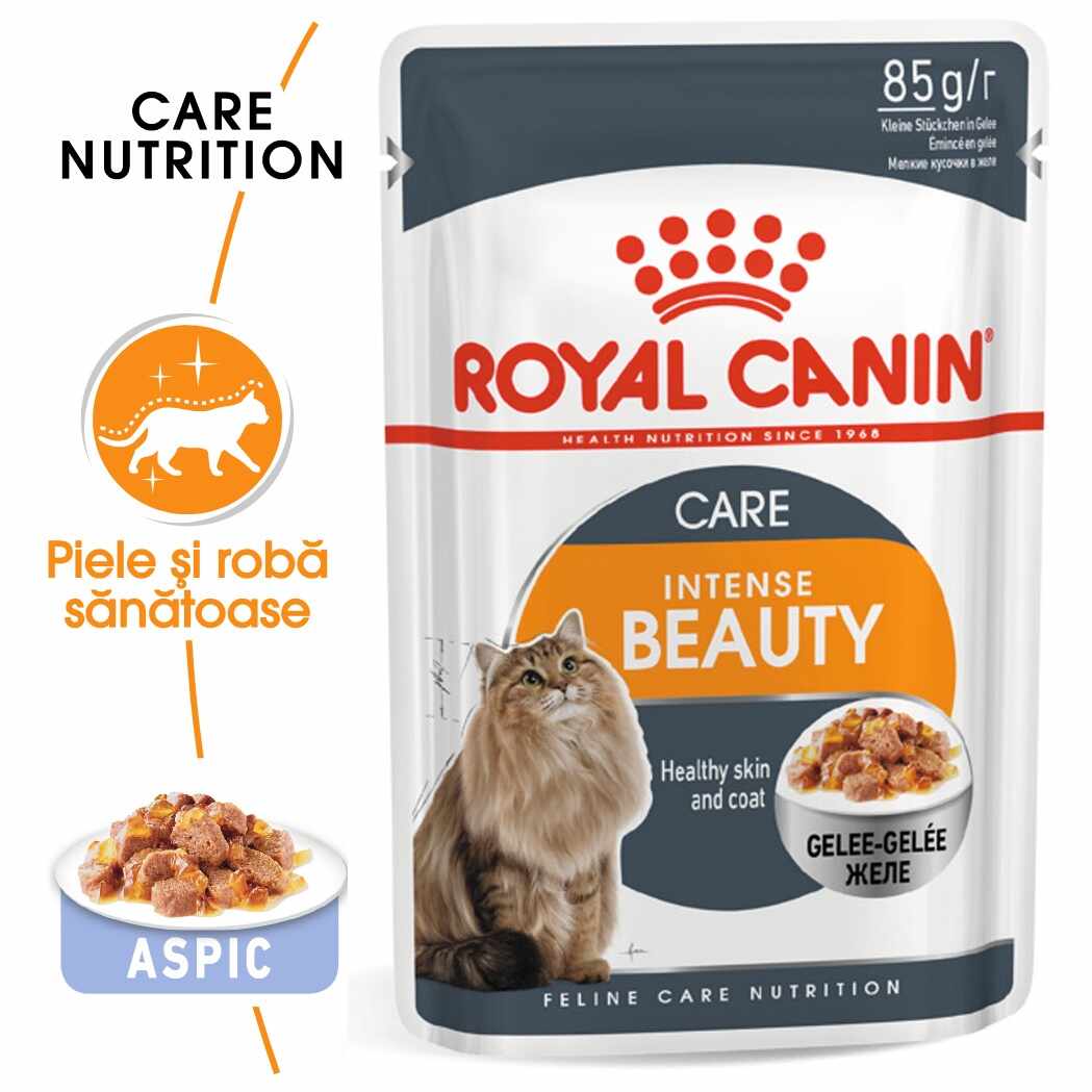 Royal Canin Intense Beauty Care Adult hrana umeda pisica, piele/blana sanatoase (aspic), 85 g