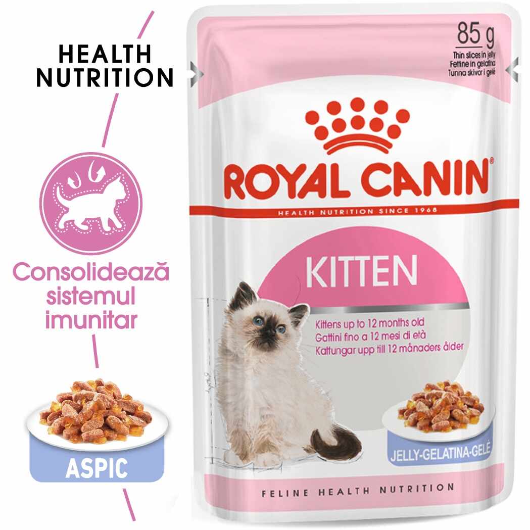 Royal Canin Kitten hrana umeda pisica (aspic), 85 g