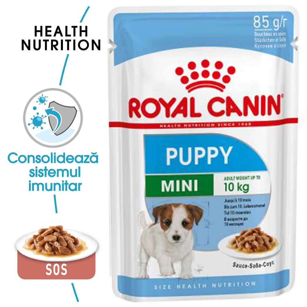 Royal Canin Mini Puppy hrana umeda caine junior (in sos), 85 g