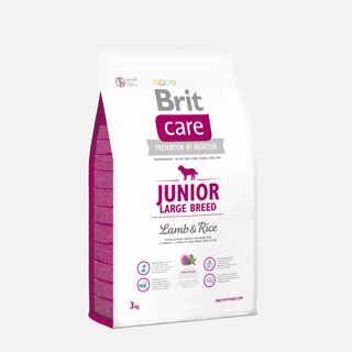 Brit Care Junior Large Breed Lamb and Rice 3 kg