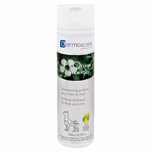 Dermoscent PYOclean shampoo for dogs and cats 200 ml