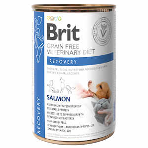 Brit GF Veterinary Diets Dog Can Recovery 400 g