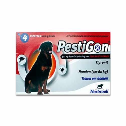 Pestigon Caine XL, 40-60 Kg, Cutie cu 4 pipete