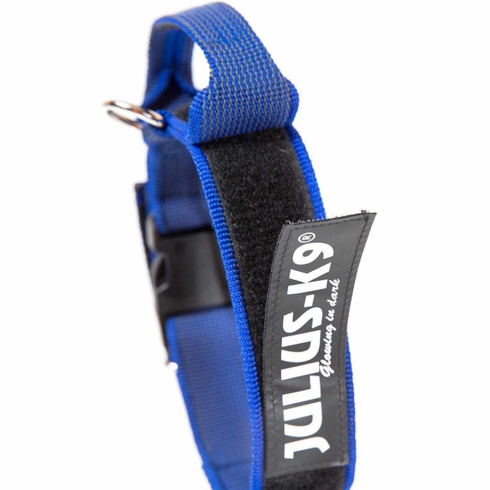 Zgarda Julius K9, cu maner, nylon - 50mm - Albastru