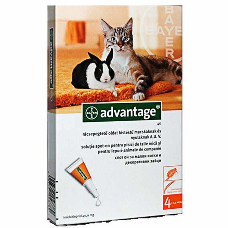 Advantage Pisica/Iepure 40 0-4 Kg, Cutie cu 4 Pipete