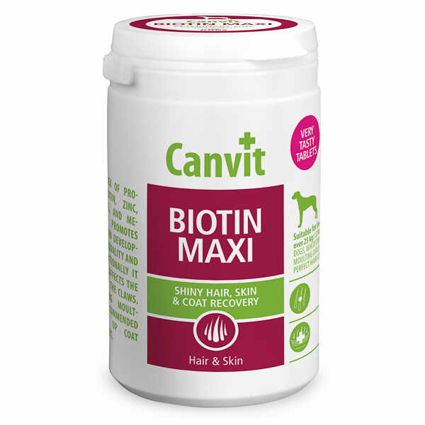 Canvit Biotin Maxi for Dogs 500g, EXPIRA 25.07.24