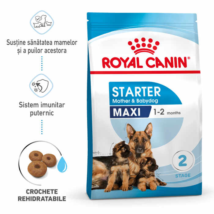 Royal Canin Maxi Starter Mother Babydog, mama si puiul, hrana uscata caine, 4 kg