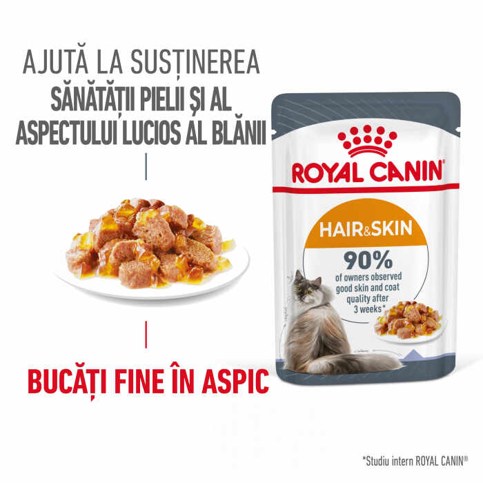 Royal Canin HairSkin Care Adult hrana umeda pisica, piele si blana (in aspic), 12 x 85 g