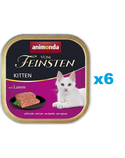 ANIMONDA Vom Feinsten Kitten set cu miel hrana pisoi 6 x 100 g