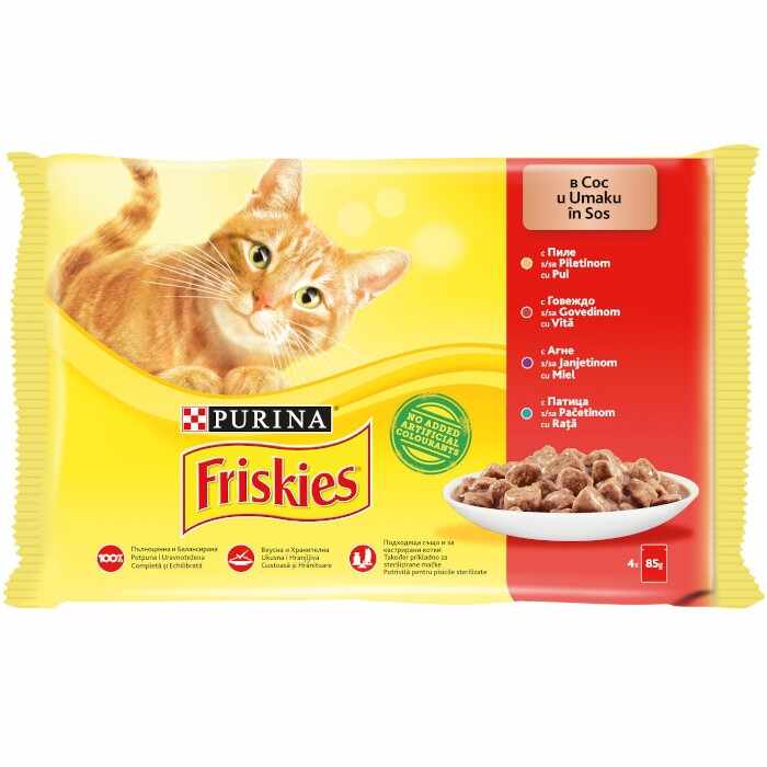 Friskies Adult Cat, Multipack Pui, Vita, Miel, Rata, 4 x 100 g