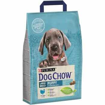 Dog Chow Puppy Large Breed Curcan, 2.5 kg