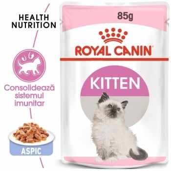 Royal Canin Kitten, plic hrană umedă pisici, (în aspic), 85g