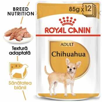 Royal Canin Chihuahua Adult, bax hrană umedă câini (pate), 85g x 12