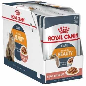 Royal Canin Intense Beauty Care Adult, bax hrană umedă pisici, piele și blană, (în sos), 85g x 12