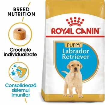 Royal Canin Labrador Puppy, pachet economic hrană uscată câini junior, 12kg x 2