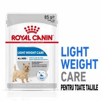Royal Canin Light Weight Care Adult, bax hrană umedă câini, managementul greutății (pate), 85g x 12