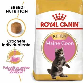 Royal Canin Maine Coon Kitten, pachet economic hrană uscată pisici junior, 10kg x 2