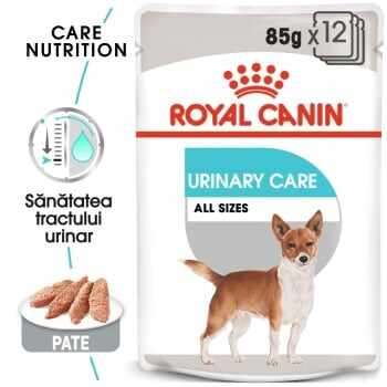 Royal Canin Urinary Care Adult, bax hrană umedă câini, sănătatea tractului urinar, (pate) 85g x 12