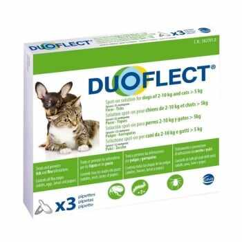DUOFLECT, spot-on, soluție antiparazitară, pisici >5kg și câini 2-10kg, 3 pipete
