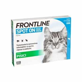 FRONTLINE Spot-On, soluție antiparazitară, pisici, 3 pipete