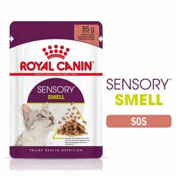Royal Canin Sensory Smell, plic hrană umedă pisici, stimularea mirosului (în sos), 85g