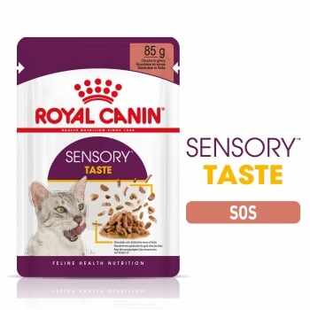 Royal Canin Sensory Taste, plic hrană umedă pisici, stimularea gustului (în sos), 85g