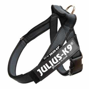 JULIUS-K9 IDC Color & Gray, ham bandă câini, S, 7-15kg, negru