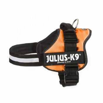 JULIUS-K9 IDC Power, ham câini, M, 13-25kg, portocaliu