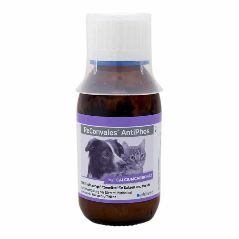 Reconvales Dog/Cat AntiPhos, 90 ml