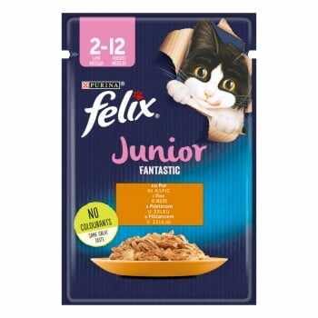 PURINA Felix Fantastic Junior, Pui, plic hrană umedă pisici junior, (în aspic), 85g