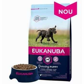 Eukanuba Puppy Large cu Pui, 12 kg