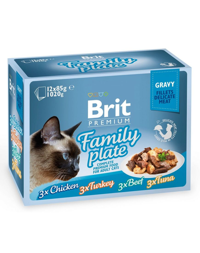 BRIT Premium Cat Family Plate file în sos - diverse arome 1,2 kg (12x85 g)