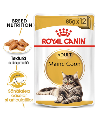 Royal Canin Maine Coon Hrană Umedă Pisică 85 g