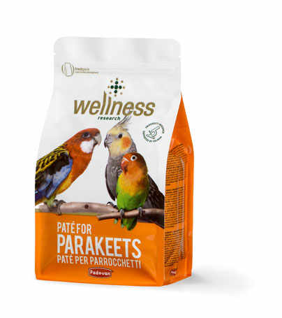 Hrana pentru papagali mari Wellness Pate 600 gr