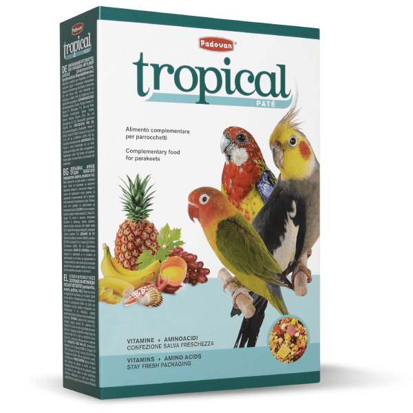 Hrana pentru papagali Tropical Patee 700g