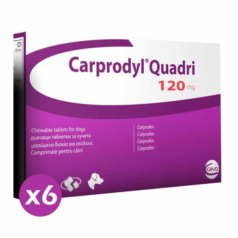 Carprodyl Quadri 120 mg, 6 tablete