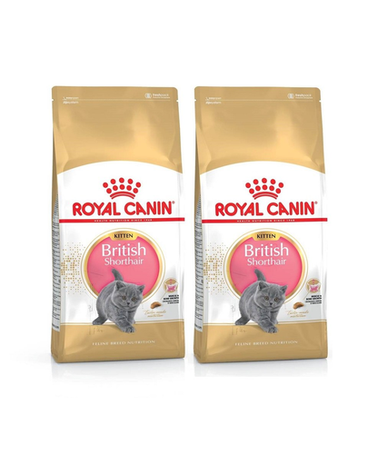 ROYAL CANIN Kitten british shorthair 4 kg (2 + 2 kg) hrana uscata pisici adulte