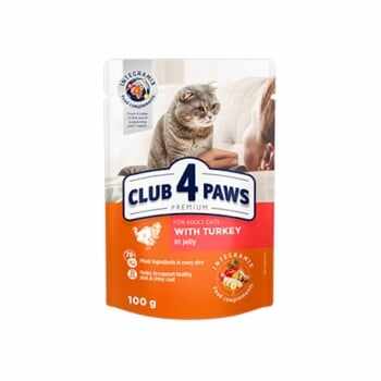 CLUB 4 PAWS Premium, Curcan, plic hrană umedă pisici, (în aspic), 80g 