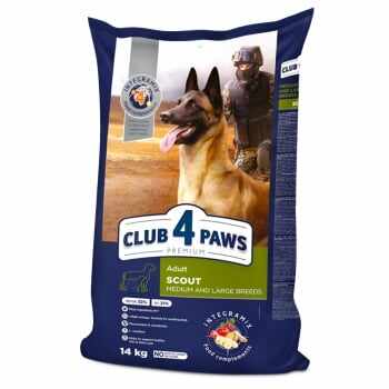 CLUB 4 PAWS Premium Scout, M-XL, Pui, hrană uscată câini, activitate intensă, 14kg
