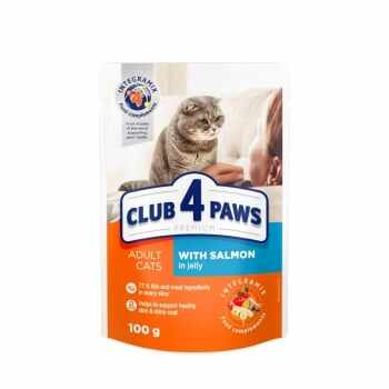 CLUB 4 PAWS Premium, Somon, plic hrană umedă pisici, (în aspic), 100g 