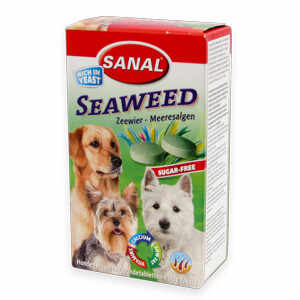 Sanal Dog Seaweed 100 tablete
