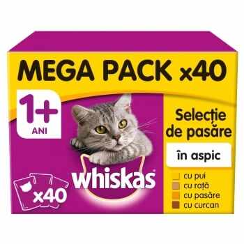 WHISKAS Selecții Pasăre Maxi Pack, 4 arome, pachet mixt, plic hrană umedă pisici, (în aspic), 100g x 40