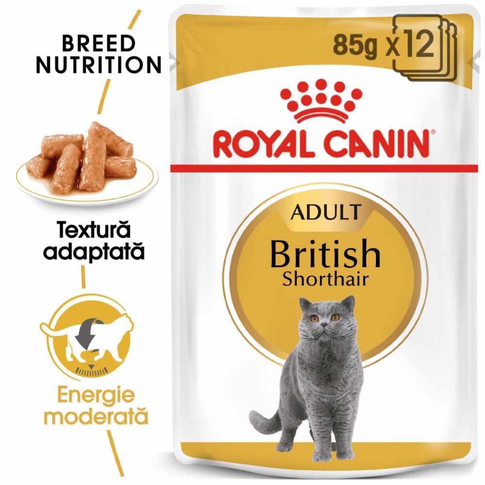 Royal Canin British Shorthair Adult 1 Plic X 85 gr