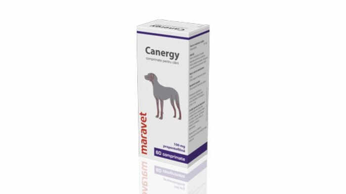 Canergy 100 mg 6 X 10 Tablete