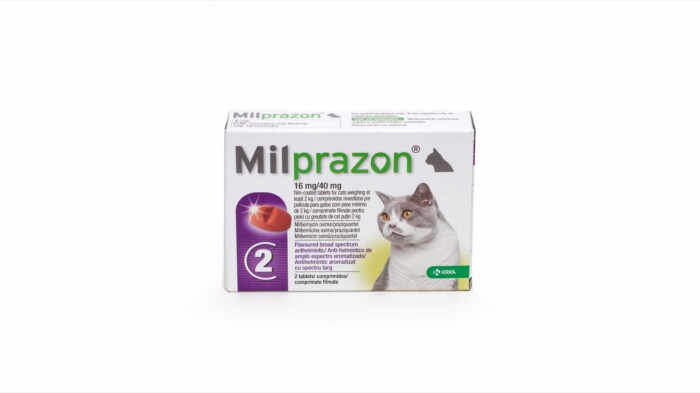 Milprazon Cat 16 40 mg (2 - 8 kg), 1 tableta