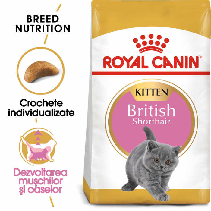 Royal Canin British Shorthair Kitten, 10 Kg
