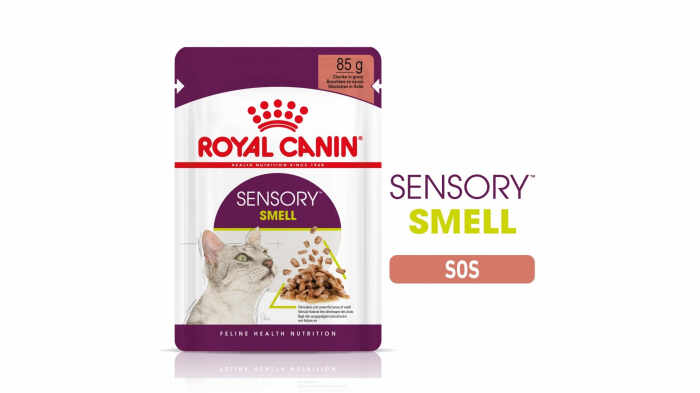 Royal Canin Sensory Smell, hrana umeda pisica stimularea simtului olfactiv (in sos), 1 x 85 g