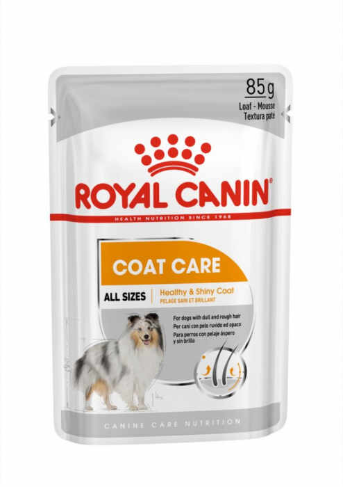Royal Canin Coat Care Adult hrana umeda caine, blana sanatoasa si lucioasa (pate), 12 x 85 g